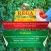 Rega San Marzano DOP Tomatoes (Pack of 5) - 28 oz Each - Imported from Italy - Buy Online on GoSupps.com
