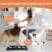 Shop MMgGaish: 4 Colorful Talking Dog Buttons Set Waterproof Matte & 50 Stickers for Effective Pet Communication - International Shipping Available! - Buy Online on GoSupps.com