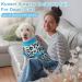 Kuoser Dog Body Suit for Post-Surgery | Breathable E-Collar Alternative for Male & Female Dogs - XS Light Blue - Buy Online on GoSupps.com