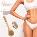 Set of 2 Dry Body Brushes for Gentle Exfoliation, Cellulite Removal & Lymphatic Drainage | Improves Blood Circulation | Includes 2 Wall Hooks - Buy Online on GoSupps.com