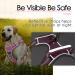 Buy Thinkpet Anti-Zug Dog Harness - Adjustable Reflective Breathable with Handle - No Choking Design for Small Dogs (Pink S) - International Shipping Available - Buy Online on GoSupps.com