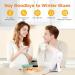 LASTAR Sun Light 10 000 LUX UV-Free Daylight Lamp with Memory Function 5 Adjustable Brightness Levels and 4 Timer Funtion Sunlight Lamp Compact Size for Winter Blues Wall Mountable Support Smart Plug Light White - Buy Online on GoSupps.com