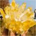 Crystal Cluster Rare New Yellow Phantom Quartz Crystal Cluster (Size : 300-350g) - Buy Online on GoSupps.com