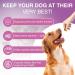 Probiotics for Dogs Dog Probiotic Chews and Digestive Enzymes Prebiotic Health Gut Itchy Skin Probioticos Itching Diarrhea Chew Supplements Canine Pet Prebiotics 200 Natural Soft Chewable Tablets - Buy Online on GoSupps.com
