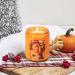 SCENTORINI Pumpkin Spice Scented Candle - 7.4 oz Natural Soy Wax | Perfect Halloween & Fall Aromatherapy Gift  - Buy Online on GoSupps.com