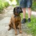 Reflective Total Pet Figure of 8 Dog Lead - Anti-Pull Slip Lead with Padded Nose Support | 180cm - Buy Online on GoSupps.com