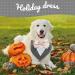 Kuoser Dog Hill Cloth Neckerchief - Christmas Bandana for Big Dogs | Fly & Stylish Dog Accessories in Black & Gray - Buy Online on GoSupps.com