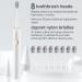 Sonic Electric Toothbrush for Adults - 8 Brush Heads 4 Modes Smart Timer IPX8 Fast Charge - Perfect Christmas Gift (White - Buy Online on GoSupps.com