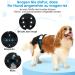 Reusable Taval Dog Diapers for Bitches - 3 Pack Washable Female Dog Pants - International Shipping Available - Buy Online on GoSupps.com