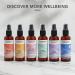 Tisserand Aromatherapy - Wellbeing Roller Ball Collection - Pulse Point Roller Ball - Happy Vibes Total De-Stress Sleep Better and Real Calm - 100% Natural Pure Essential Oils - 4x10ml - Buy Online on GoSupps.com