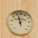2-in-1 Sauna Thermometer & Hygrometer | High Visibility Indoor Hygrothermograph for Accurate Temperature & Humidity Measurement - Buy Online on GoSupps.com
