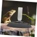 BELLIFFY Turtle Drinker Auto Feeder Reptile Food Bowl Automatic Reptile Feeder Automatic Waterer Pet Plastic 17.00X17.00X3.50CM Grey - Buy Online on GoSupps.com