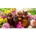 Red Chestnut Princeps Fleurs de Bach Chromoth rapie Granules Ch taignier rouge - Buy Online on GoSupps.com