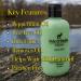 Pete & Pedro Clean Shampoo & Peppermint Condition Set | Tea Tree Oil & Peppermint Hair Care | Men's & Women's Shampoo and Conditioner | 8.5 oz. each - Buy Online on GoSupps.com