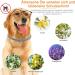 DEWEL 63.5cm Adjustable Waterproof Tick Collar for Dogs & Cats - Effective Anti-Flea Solution - Buy Online on GoSupps.com