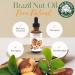 Best Nature's Cosmetics Virgin Organic Brazil Nut Oil Moisturizer for Skin and Hair 1 Fl Oz 1 Fl Oz (Pack of 1) - Buy Online on GoSupps.com