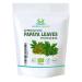 Herbal Magic's Organic Papaya Leaf Powder (Carica Papaya)- Most Prized Herb in Ayurveda - Ideal for Smoothies Baking soups - Free from Fillers & Preservatives- One Pack of 200gms 100 g (Pack of 2)