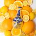 Orangina Citrus Sparkling Juice Beverage - Original French Recipe - 18 Bottles (8.5 oz) - No Artificial Ingredients - Buy Online on GoSupps.com