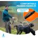 2-in-1 Jogging Leash for Dogs | Gray Belly Belt Leash for Large & Medium Dogs | Double Handle Dog Leash for Walking & Hiking - Buy Online on GoSupps.com