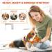 Intelligence Toys for Dogs | Plush & Sniffing Toys for All Breeds | Enhance Playtime & Learning - Buy Online on GoSupps.com