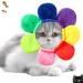 Fun Cat Hat & Cute Rabbit Ears Costume for Cats and Small Dogs Perfect Party Accessories for Kittens & Puppies - Buy Online on GoSupps.com