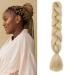 Gairyan jumbo braids extensions lichen art hair 1 piece 100g braiding hair extensions 60cm ombre synthetic braids afro hair for box crochet braids (natural blonde) 60 cm (1 piece) natural blonde