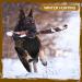 Hunthor 5mm Neoprene Dog Hunting Vest - Adjustable Waterfowl Duck Hunting Camo - X-Large - Buy Online on GoSupps.com