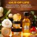 Shop The Body Shop Body Oil 80ml - Nourishing & Hydrating - International Shipping Available - Buy Online on GoSupps.com