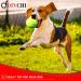 Pack of 6 Tennis Balls Sport Play Dog Toy Ball Great For Lessons Practice Throwing Machines & Playing with Pets 6 Pack - Buy Online on GoSupps.com