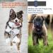 Silicone Holder for AirTag Dog Collar | Lightweight Waterproof Case for Pets | 2021 Accessories (2-Pack Black) - Buy Online on GoSupps.com