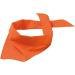 Schnoschi Custom Orange Dog Scarf - Personalized Embroidered Dog Accessories - Buy Online on GoSupps.com