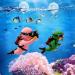 Floating Divers Aquarium Decoration - 2-Piece Resin Set for Home & Office Aquariums - Green & Pink Landscape Accessories - Buy Online on GoSupps.com