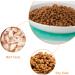 Dorakitten Ceramic Cat Food Plate - Non-Slip Mat, Stress-Relief Shallow Bowl for Kittens - Buy Online on GoSupps.com