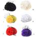 amangul Teenagers Hair Clip with Flower Decor Top Hat Shape Hairpin Colorful Hair Clip for Taking Photo Hairpins for Woman Girl(Red) - Buy Online on GoSupps.com