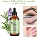 FEXPDL Rosemary Oil For Hair Growth 60ml Organics Rosemary Mint Scalp & Hair Strengthening Oil Rosemary Oil for Hair Growth Hair Growth Oil For Face Hair Care Eyelash & Eyebrow Growth Brown-1 - Buy Online on GoSupps.com