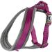 Anol Viva Purple Padded Harness - Size L (52-71cm) - Buy Online on GoSupps.com