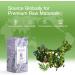 ASAKUKI Rosemary Essential Oil - 100% Natural Therapeutic Grade for Hair, Skin, Nails - Aromatherapy Diffuser Oil - Buy Online on GoSupps.com
