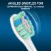 Replacement Toothbrush Heads Compatible with Philips Sonicare C2 - 12 Pack | Universal Fit for All Philips Sonicare Click-on Electric Toothbrushes - Buy Online on GoSupps.com