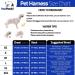 Pawpawify Dog Harness for Pulling - Personalized Durable No-Choke Training Harness - XXL Blue (Chest 33-46in) - Buy Online on GoSupps.com