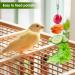 4 Pcs Bird Skewer Stainless Steel Parrot Skewer Feeder Bird Veggies Skewer Fruit Food Holder Hanging Food Feed Tool Foraging Toy Bird Toys for Budgie Parakeet Cockatiel - Buy Online on GoSupps.com