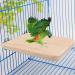 Natural Wood Parrot Bird Cage Perches Stand Platform Pet Parakeet Wooden Budgie Toys Hanging Supplies 13cmx9cm(1 PcsWooden) - Buy Online on GoSupps.com