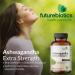 Futurebiotics Ashwagandha Extra Strength Stress & Mood Support with BioPerine - Non GMO Formula 100 Vegetarian Capsules 100 Count (Pack of 1) - Buy Online on GoSupps.com
