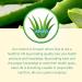 Aloe Life Stomach Plus Formula - Fast-Acting Digestive Tonic - 32oz Concentrate - Gluten-Free - Buy Online on GoSupps.com