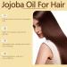 Jojoba Oil For Hair Organic Jojoba Oil Natural Moisturizing and Conditioning Oil Cold Pressed Unrefined Organic Jojoba Oil (2 Bottles) - Buy Online on GoSupps.com