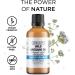 Aromavita Oregavit Water Soluble Wild Oregano Oil- Digestive, Immune & Respiratory Support - Natural Vegan Dietary Supplement & Mouthwash for Healthy Gums - Buy Online on GoSupps.com