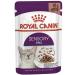 Royal Canin Sensory Feel in Gravy Wet Cat Food for Picky Cats 85g (Pack of 48)