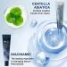 31 All-Day Shield & 102 Night Renewal Cream - Anti-Aging Firming & Hydrating Skincare for All Skin Types | International Shipping Available - Buy Online on GoSupps.com