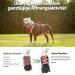 Huntboo Safety Harness for Large Dogs - No Escape Reflective Vest with Padded Handle Adjustable for Comfortable Walks (Red L) - Buy Online on GoSupps.com