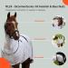 RL24 Eczema Horse Ceiling with Neck & Abdomen - Fine Meshed Insect Protection - Silver Gray 135cm | Double Front Closure & Leg Cords - Buy Online on GoSupps.com
