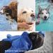 Quick-Drying Microfiber Dog Bathrobe & Towel | Super Absorbent Comfortable Navy Blue - Adjustable for Pets & Cats | Pettom - Buy Online on GoSupps.com